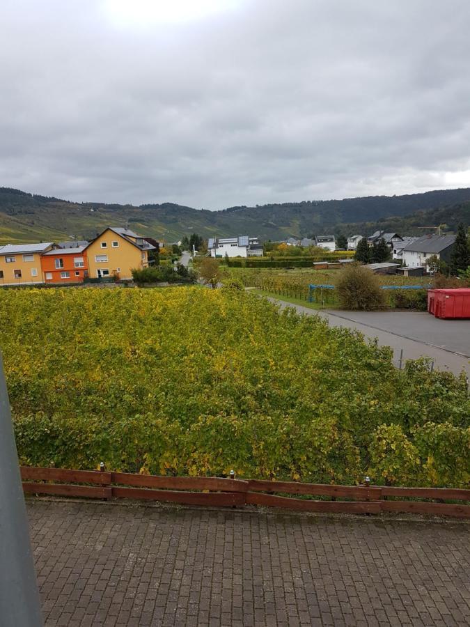 Ferienweinhaus Roemer-Knodt Kröv Zewnętrze zdjęcie